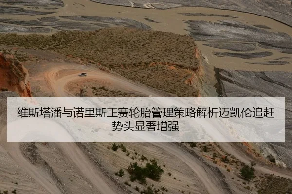 维斯塔潘与诺里斯正赛轮胎管理策略解析迈凯伦追赶势头显著增强